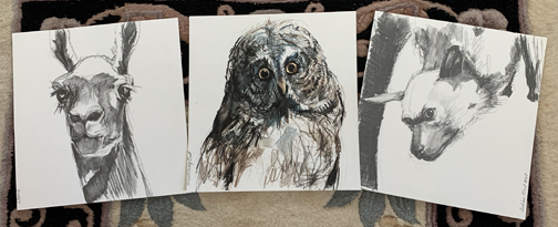 blogdrawingsfromHMNH