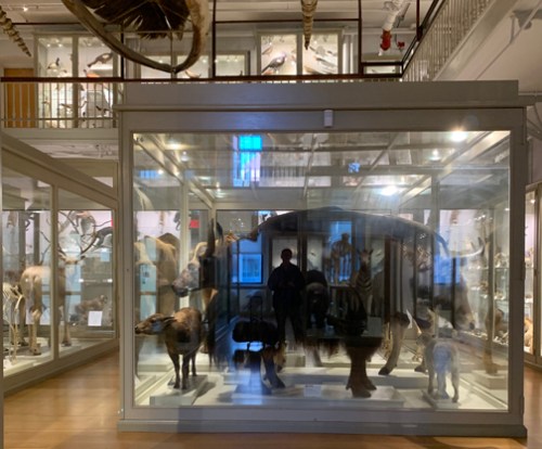 blogmuseumviewwithreflections