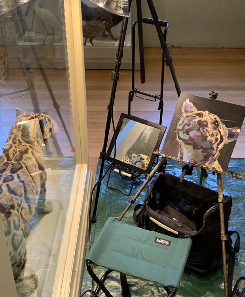 blogsetupforcloudedleopard