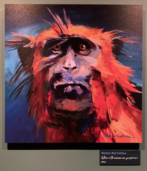 blog07colobus