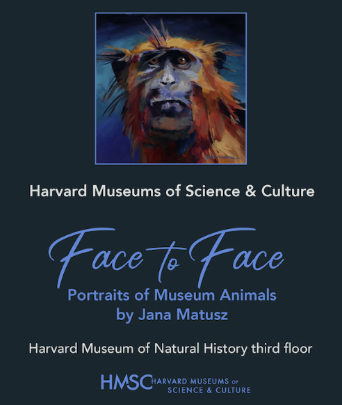 facetofaceharvard