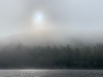 fogblog