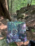 ptgrockyforestpathblog