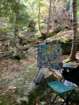 ptgsunnyrockypathblog-1