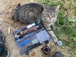 07kittycompanyatfarm