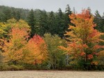 13octobercolor